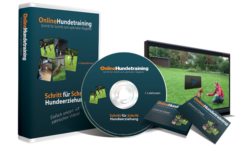 Hundetraining online